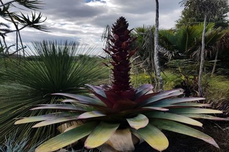 Photo of property in 656 One Tree Point Road, Ruakaka, Whangarei, 0171