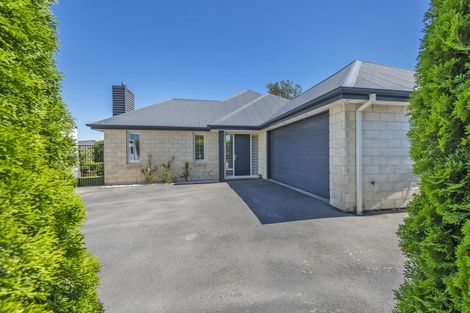 Photo of property in 37a Woodville Street, Leeston, 7632
