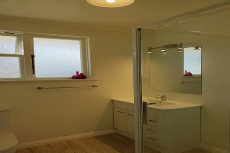 Photo of property in 51a Seddon Street, Takaro, Palmerston North, 4412