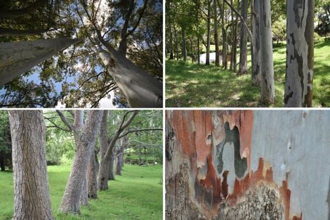 Photo of property in 506 Pahi Road, Pahi, Paparoa, 0571