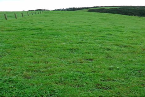 Photo of property in 103 Block Road, Hikutaia, Paeroa, 3674