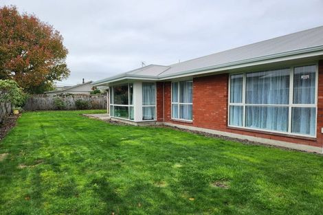 Photo of property in 30 Trafalgar Street, St Albans, Christchurch, 8014