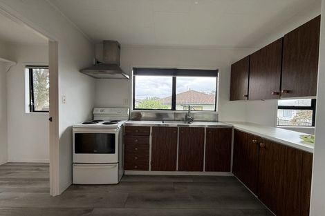 Photo of property in 131 Finlayson Avenue, Clendon Park, Auckland, 2103