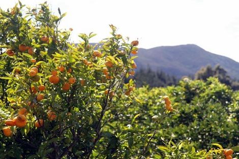 Photo of property in 3921 Far North Road, Pukenui, Kaitaia, 0484