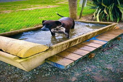 Photo of property in 49b Old Onerahi Road, Onerahi, Whangarei, 0110