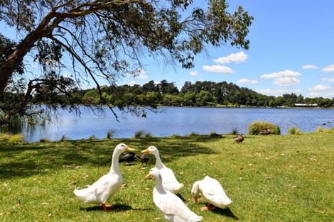 Photo of property in 117a Lake Crescent, Hamilton Lake, Hamilton, 3204