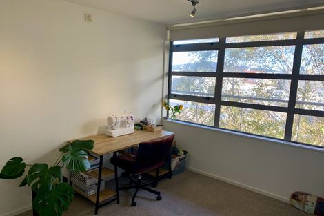 Photo of property in Vespa Apartments, 501/20 Hanson Street, Mount Cook, Wellington, 6021