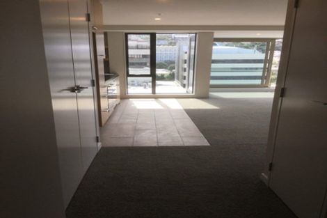 Photo of property in Vsp Nothern Tower, 1205/166 Victoria Street, Te Aro, Wellington, 6011