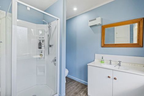 Photo of property in 12 Tekoa Street, Waiau, 7332