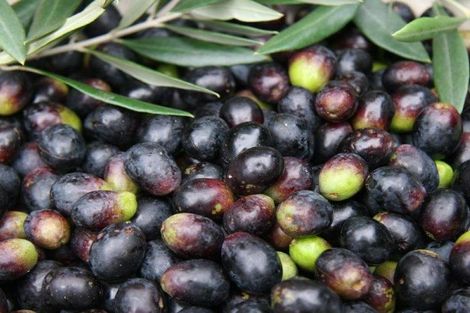 Photo of property in 3921 Far North Road, Pukenui, Kaitaia, 0484