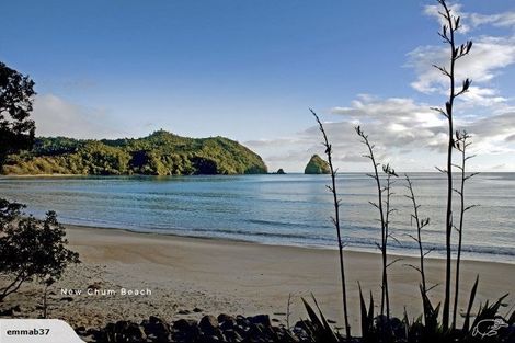 Photo of property in 46 Te Punga Road, Whangapoua, Coromandel, 3582