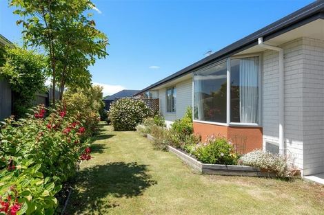 Photo of property in 114 Charles Street, Blenheim, 7201