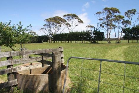 Photo of property in 3921 Far North Road, Pukenui, Kaitaia, 0484