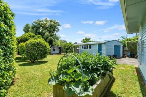 Photo of property in 41 Carrington Avenue, Hillcrest, Hamilton, 3216