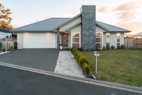 Photo of property in 12 Nelson Lane, Omokoroa, 3114