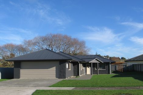 Photo of property in 40 Lethbridge Street, Feilding, 4702