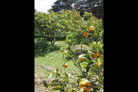 Photo of property in 3921 Far North Road, Pukenui, Kaitaia, 0484