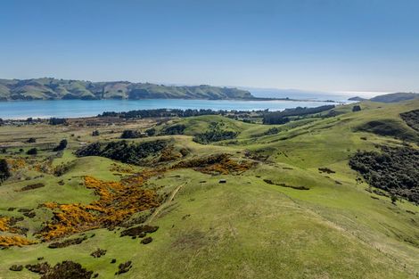 Photo of property in 452 Harington Point Road, Lower Portobello, Dunedin, 9077