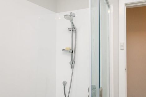 Photo of property in 46 Leicester Street, Terrace End, Palmerston North, 4410