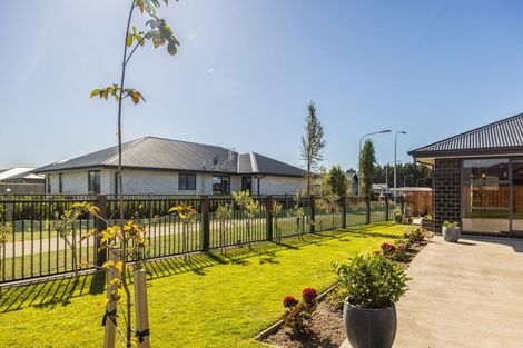 Photo of property in 9 Greenwood Place, Amberley, 7410