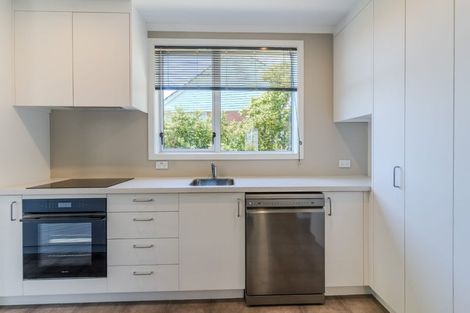 Photo of property in 20 Panmure Avenue, Calton Hill, Dunedin, 9012