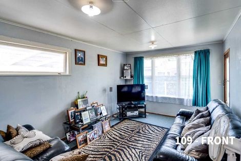 Photo of property in 109 Hapuka Street, Frimley, Hastings, 4120