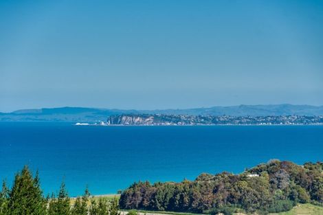 Photo of property in State Highway 2, Tangoio, Napier, 4182