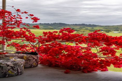 Photo of property in 273 Kumuiti Road, Fordell, Whanganui, 4577