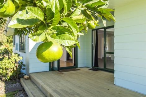 Photo of property in 114 Kairua Road, Kairua, Tauranga, 3175