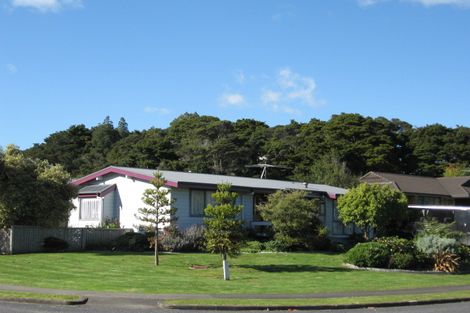 Photo of property in 53 Charles Prevost Drive, The Gardens, Auckland, 2105