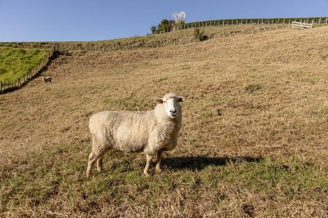 Photo of property in 63a Mountier Road, Whakamarama, Katikati, 3181