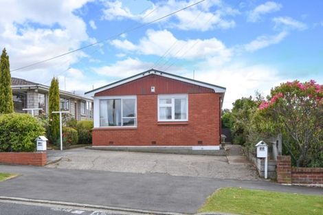 Photo of property in 53b Mitchell Avenue, Maryhill, Dunedin, 9011