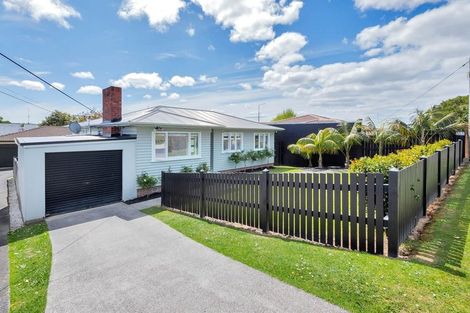 Photo of property in 1/1 Newington Road, Henderson, Auckland, 0612
