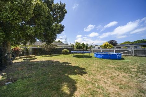 Photo of property in 127 Stanford Street North, Ashhurst, 4810