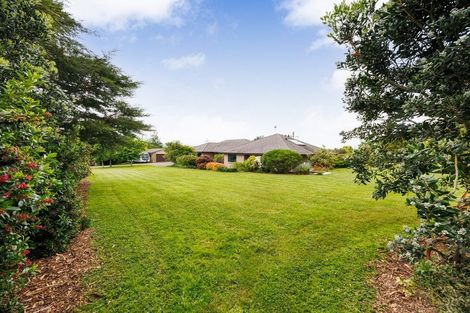 Photo of property in 54 Henaghans Road, Kelvin Grove, Palmerston North, 4470
