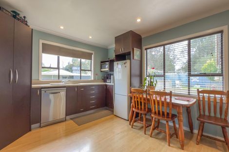 Photo of property in 55 Overdale Road, Putaruru, 3411