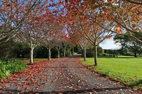 Photo of property in 196 Pukekohe East Road, Pukekohe East, Pukekohe, 2677