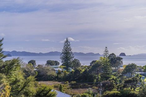 Photo of property in 953b Purangi Road, Cooks Beach, Whitianga, 3591