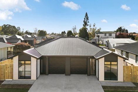 Photo of property in 17 Fend Street, Chartwell, Hamilton, 3210