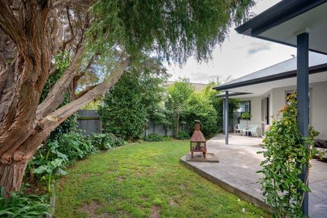 Photo of property in 117 Mcleod Street, Camberley, Hastings, 4120