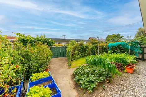 Photo of property in 18 Levens Lane, Temuka, 7920