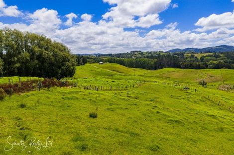 Photo of property in 117 Kaiwaka-mangawhai Road, Kaiwaka, Wellsford, 0975
