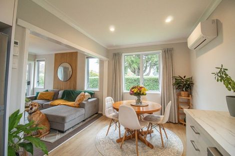 Photo of property in 101 Mulgrave Street, Ashhurst, 4810