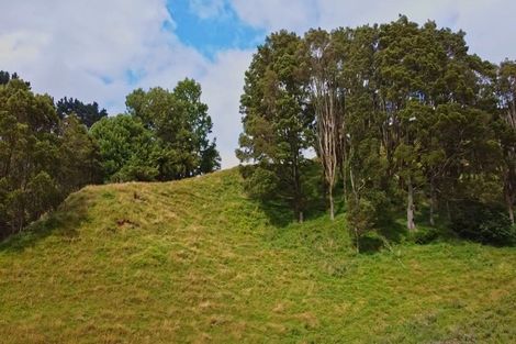 Photo of property in 822 Motukawa Road, Tarata, Inglewood, 4387