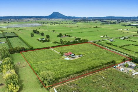 Photo of property in 164 Otakiri Road, Edgecumbe, Whakatane, 3192