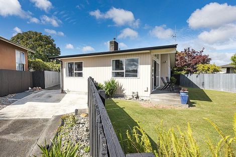 Photo of property in 43 Havelock Avenue, Westbrook, Palmerston North, 4412