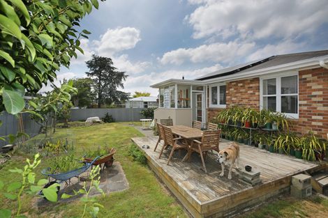 Photo of property in 47a College Street, Awapuni, Palmerston North, 4412