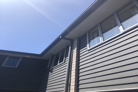 Photo of property in 1 Stadium Lane, Whitiora, Hamilton, 3200