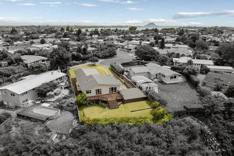 Photo of property in 20 Te Mutu Crescent, Maungatapu, Tauranga, 3112