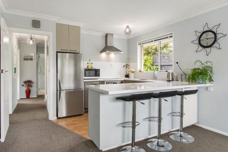 Photo of property in 29 Wades Avenue, Saint Martins, Christchurch, 8022